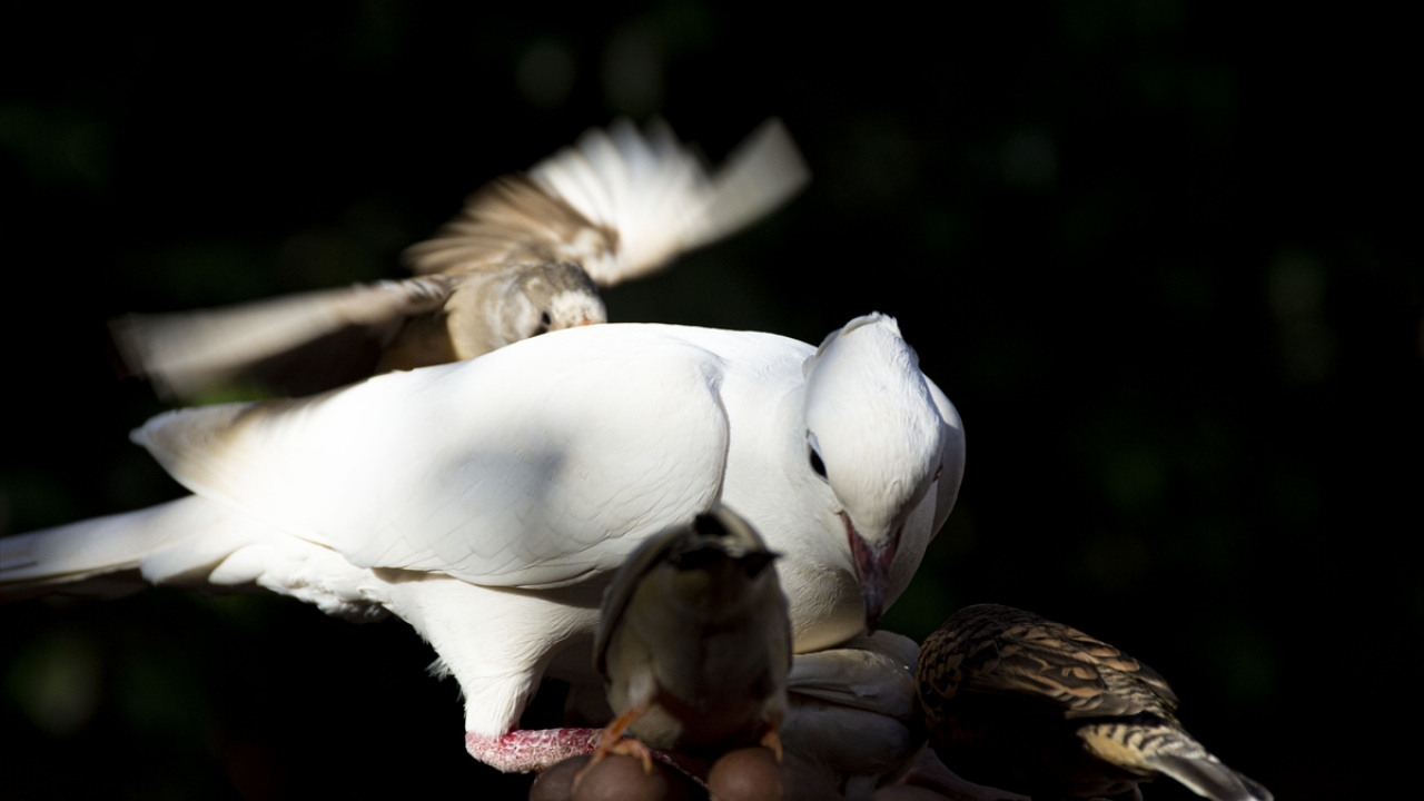 Hayalinin ilk aşamasını gerçekleştirdiğini ifade eden Tahir, şunları kaydetti:
