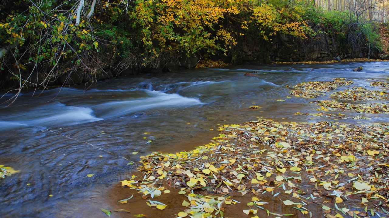 Ahlat`taki sonbahar manzaraları için doğa fotoğrafçıları da rotasını bölgeye çevirdi.