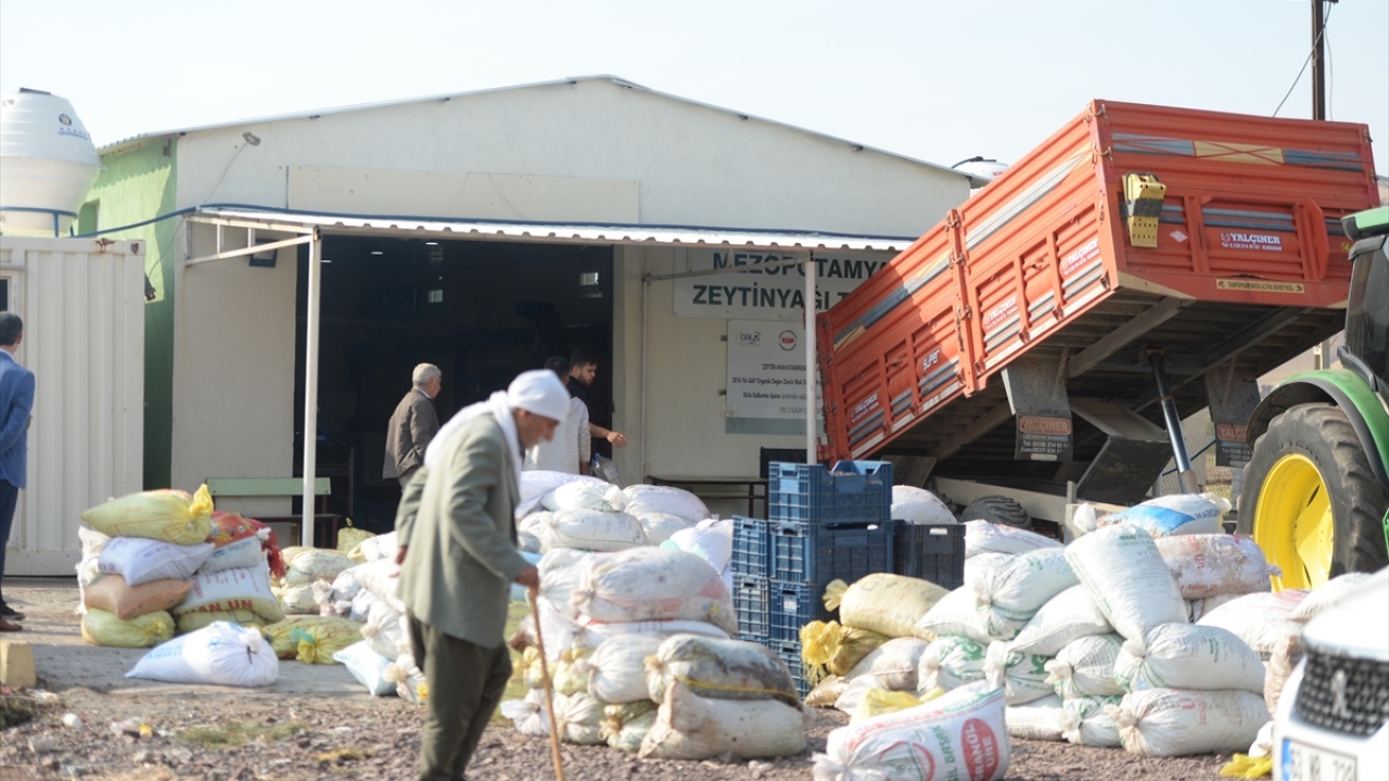 Derik Kaymakamı ve Belediye Başkan Vekili Hakan Kafkas`ın talimatıyla Tarım ve Orman İlçe Müdür Vekili Abdullah Osmanoğlu`nun başkanlığında oluşturulan ekiplerce kapama bahçeleri sık sık ziyaret edilerek, bakımı yapılıyor.