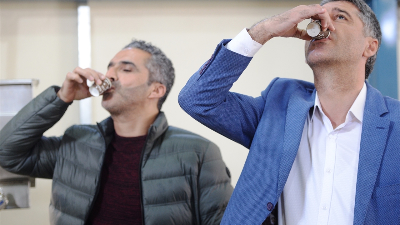 Bu yıl Derik ilçesinde zeytin üretilen alanların artırılması için yüzde 70 hibe ile 18 bin 500 halhalı zeytin fidanı dağıtımı daha yapılacak. 