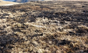 Trabzon'da 10 bin yıllık hazine kül oldu