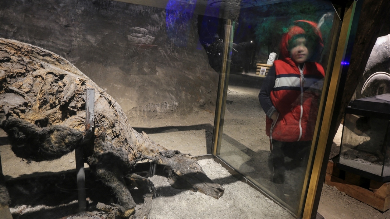 Mağara içerinde yaklaşık 300 yıllık olduğu tahmin edilen ve çürümeden duran eşek cesedi de yer alıyor.