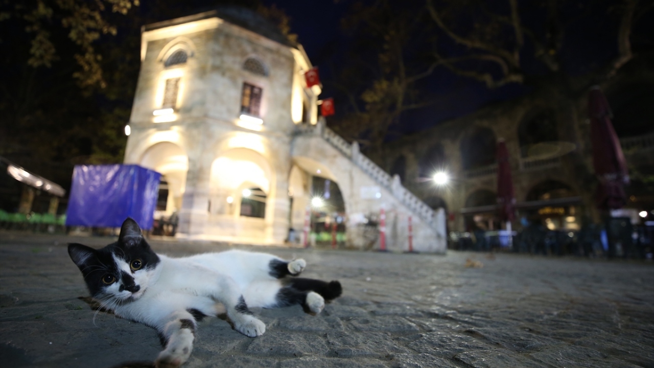 Uzun yıllar ipek böceği kozalarının satıldığı han, elde edilen ipekli kumaşlarla Bursa`nın tekstil merkezi haline gelmesinde ilk adım oldu.