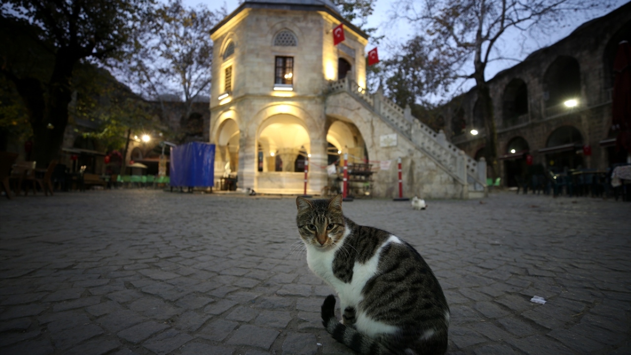 Kozahan, çay ve kahvelerin tatlı sohbetlerle yudumlandığı önemli bir dinlenme ve turistik alışveriş mekanı olarak ziyaretçilerini ağırlamaya devam ediyor.