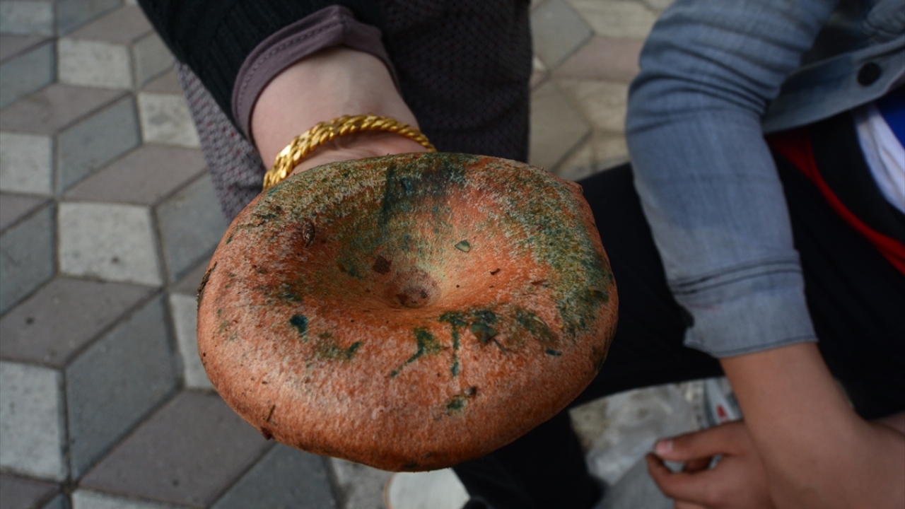 Halkı bilmedikleri mantarı yememeleri konusunda uyaran Güven, kusma, bulantı, karın ağrısı şikayeti olanların vakit kaybetmeden sağlık kuruluşuna başvurmaları gerektiğini söyledi. 