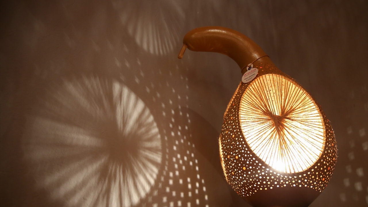 Dekoratif su kabağı lambasının üretimini yaparak bunu meslek haline dönüştürebileceğine inanan Adıgüzel, Aksu ilçesindeki 10 dönümlük arazilerine su kabağı ekerek işe başladı.