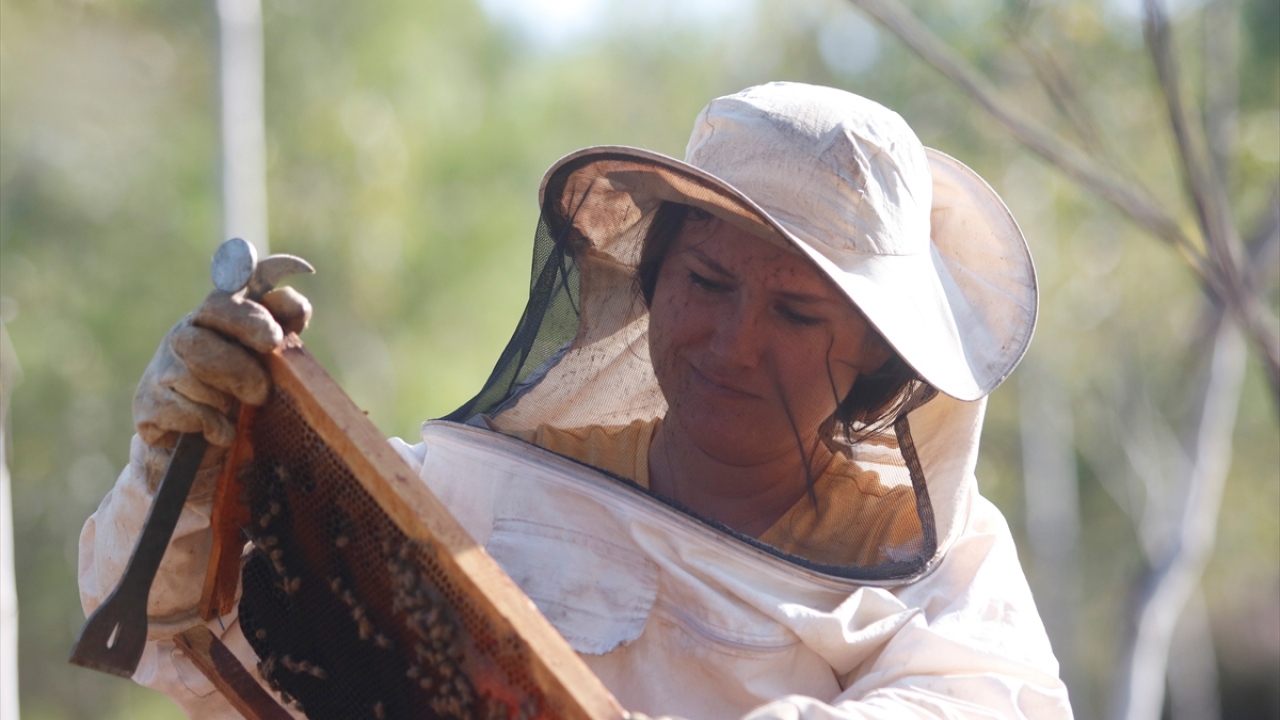 İlk kovanları aldığında petek çıtasını tutmayı dahi bilmediğini belirten Yavuz, kursa giderek ve çevredeki arıcıları dolaşarak bilgi edindiğini anlattı.