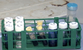 Türk bilim insanlarından dolandırıcılığın önüne geçecek yeni yöntem