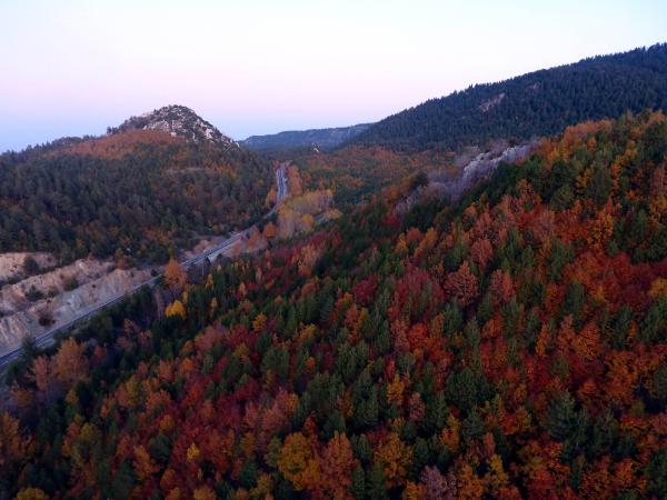 Başkonuş ormanı, Kahramanmaraş`ın Onikişubat ilçesinin Yaylaüstü, Yenicekale, Topçalı, Saygılı ve Rahmacılar mahalleleri sınırlarında yer alıyor.