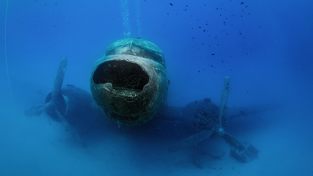 Temiz ve berrak bir denize sahip olan Kaş, zengin bir su altı flora ve faunasıyla da dalış tutkunlarını büyülüyor. 