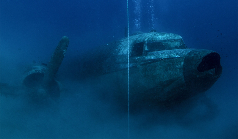 Dalış turizmi için batırılan uçak gibi resiflere dalış yapan yerli ve yabancı turistler, farklı türlerdeki deniz canlılarını da görerek su altı dünyasının güzelliklerini keşfediyor.