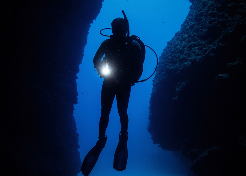 Felsefelerinin "Kabarcık bırak, hiçbir şey alma" olduğunu aktaran Draman, dalgıçların burada adeta sembiyotik bir hayat içinde olduklarını anlattı.