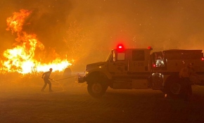 California'da yeni orman yangını dalgası