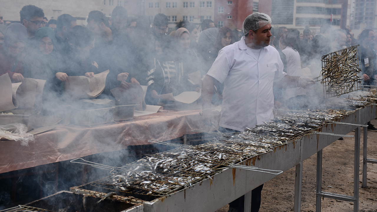 Şölen kapsamında Cumhuriyet Yerleşkesi`nde kurulan ızgaralarda pişen hamsi için uzun kuyruklar oluştu.
