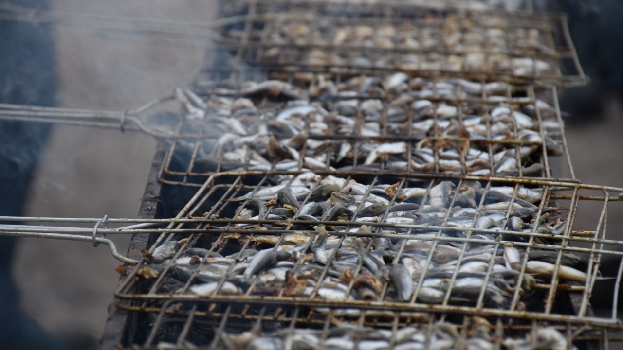 Protokol üyeleri, akademisyenler ve çok sayıda öğrencinin katıldığı şölende, 1 ton hamsi dağıtıldı.