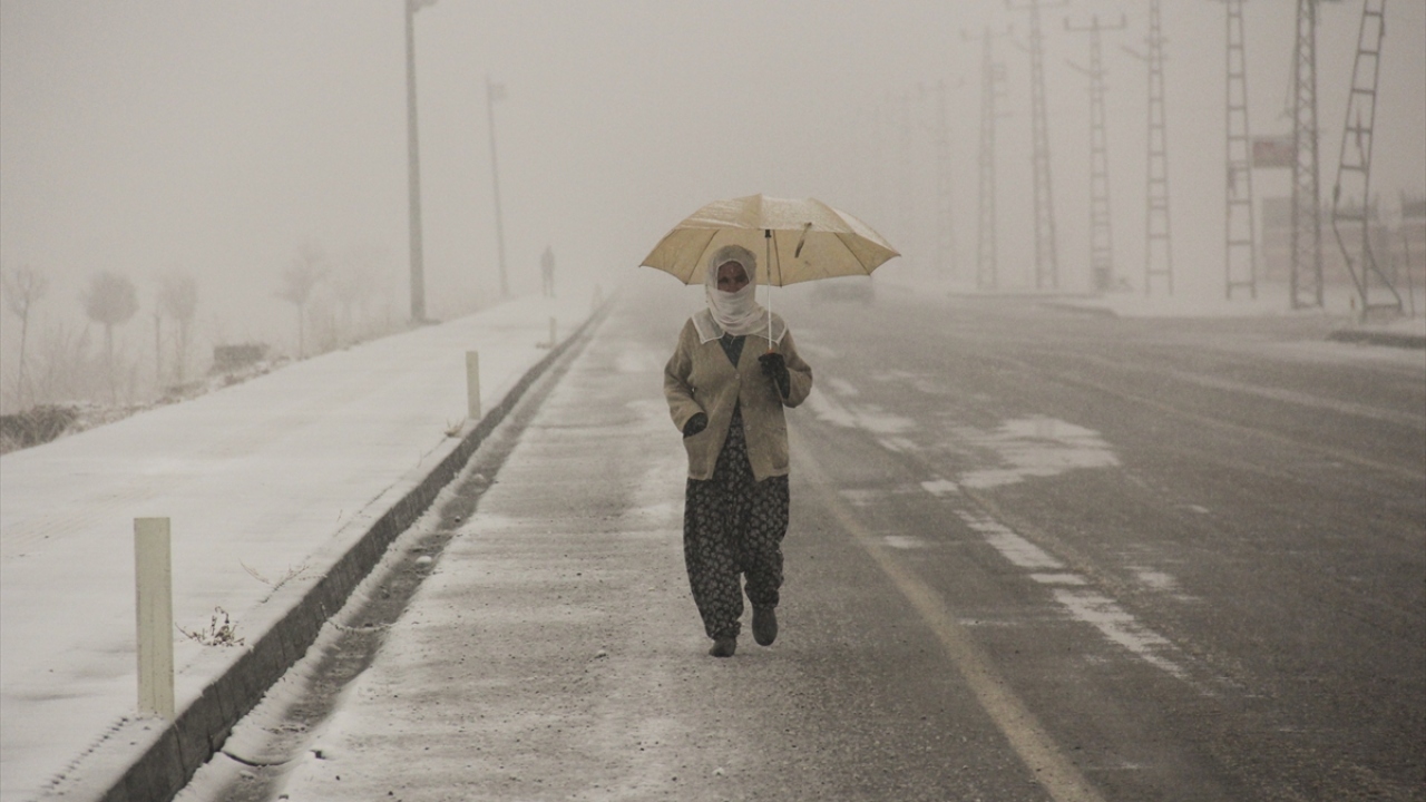 Kar yağışı sebebiyle ağaçlar, araçlar ve evlerin çatıları karla kaplandı.