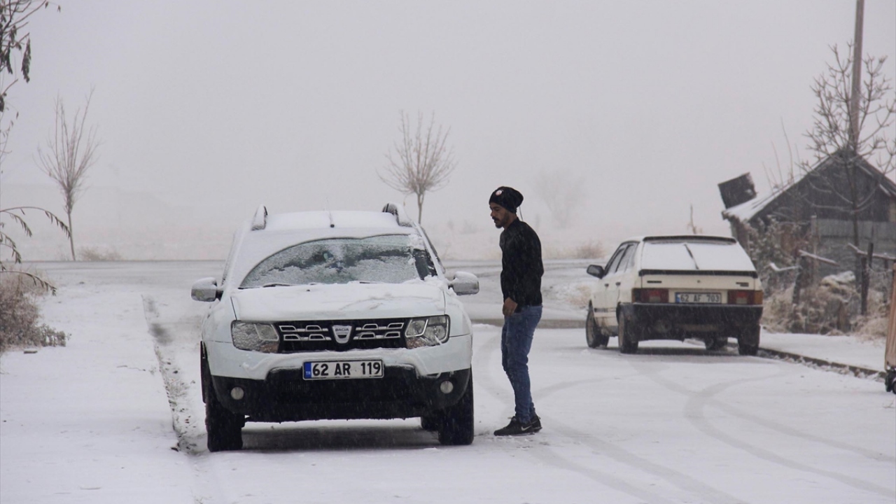Kar yağışının aralıklarla devam ettiği ilçede, sokak hayvanları da yiyecek bulmakta zorlandı.