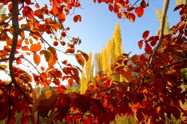 Karaman`ın Ermenek ilçesinde sonbaharda doyumsuz manzaralar ortaya çıkıyor.