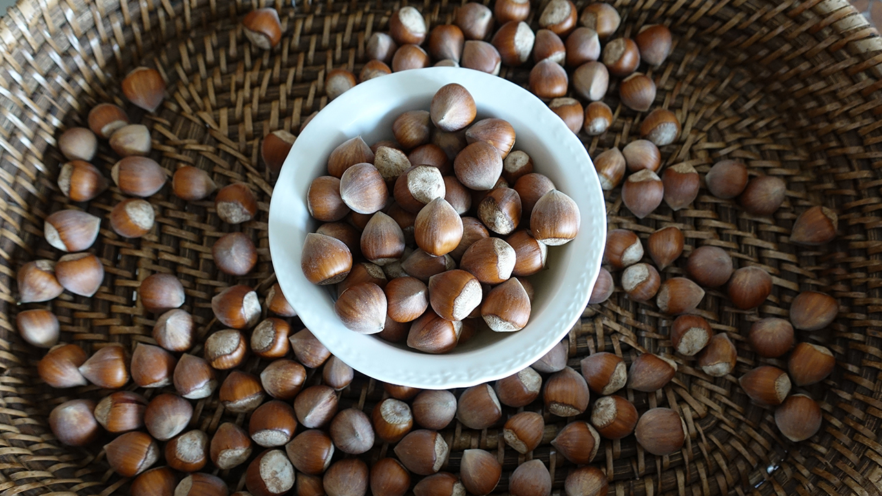 Örem, Türkiye`nin milli ihraç ürünü fındığın insan sağlığına faydalarını bilimsel verilerle ortaya koymak için 10 yılı aşkın süredir çalışmalar gerçekleştirdiklerini belirtti.