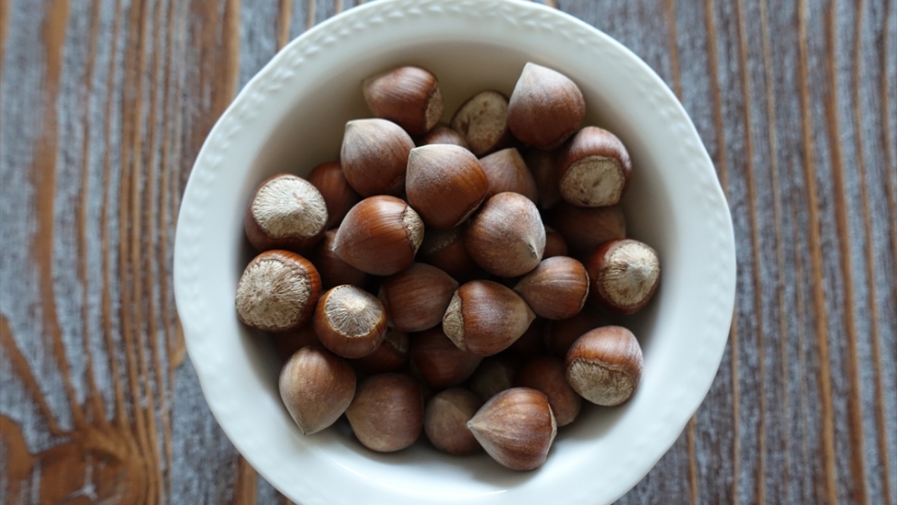 "Fındık bilinçli şekilde tüketilmeli"