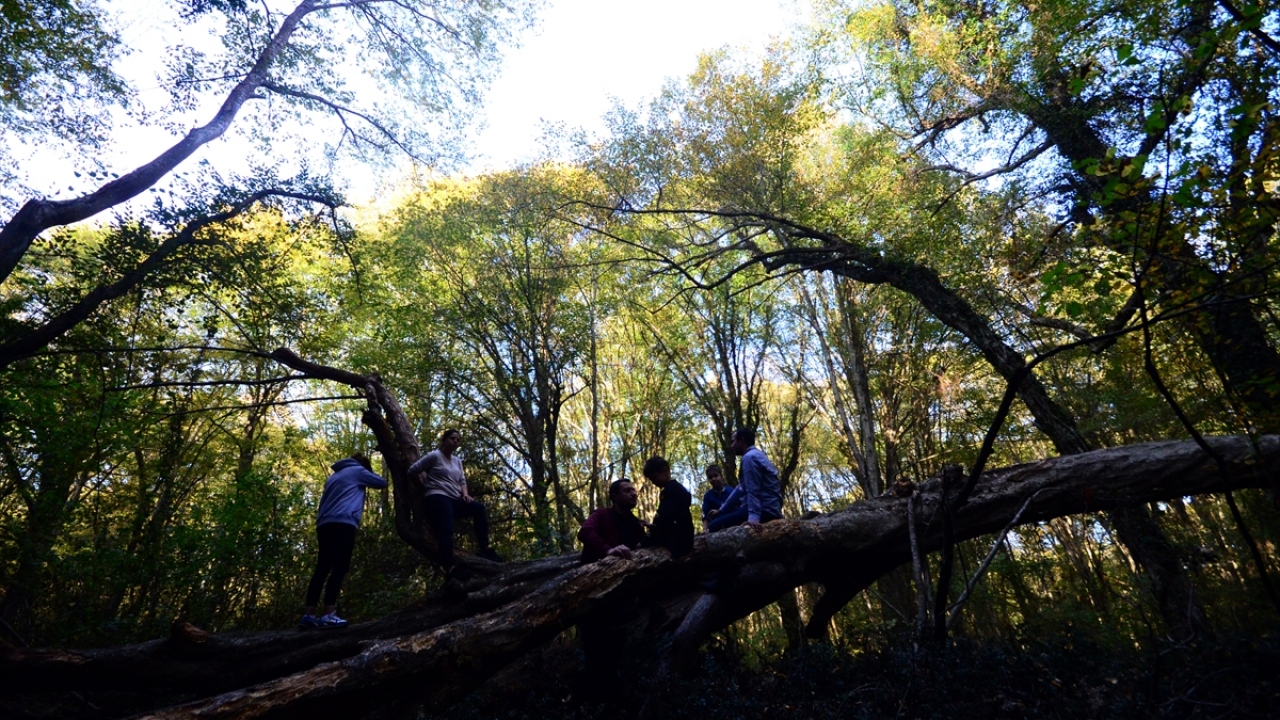Ağaçların arasında kürek çekerek longozun derinliklerine ulaşanlar, ağaçların göle yansımasını, birçok bitki türünün güzelliğini görebiliyor.