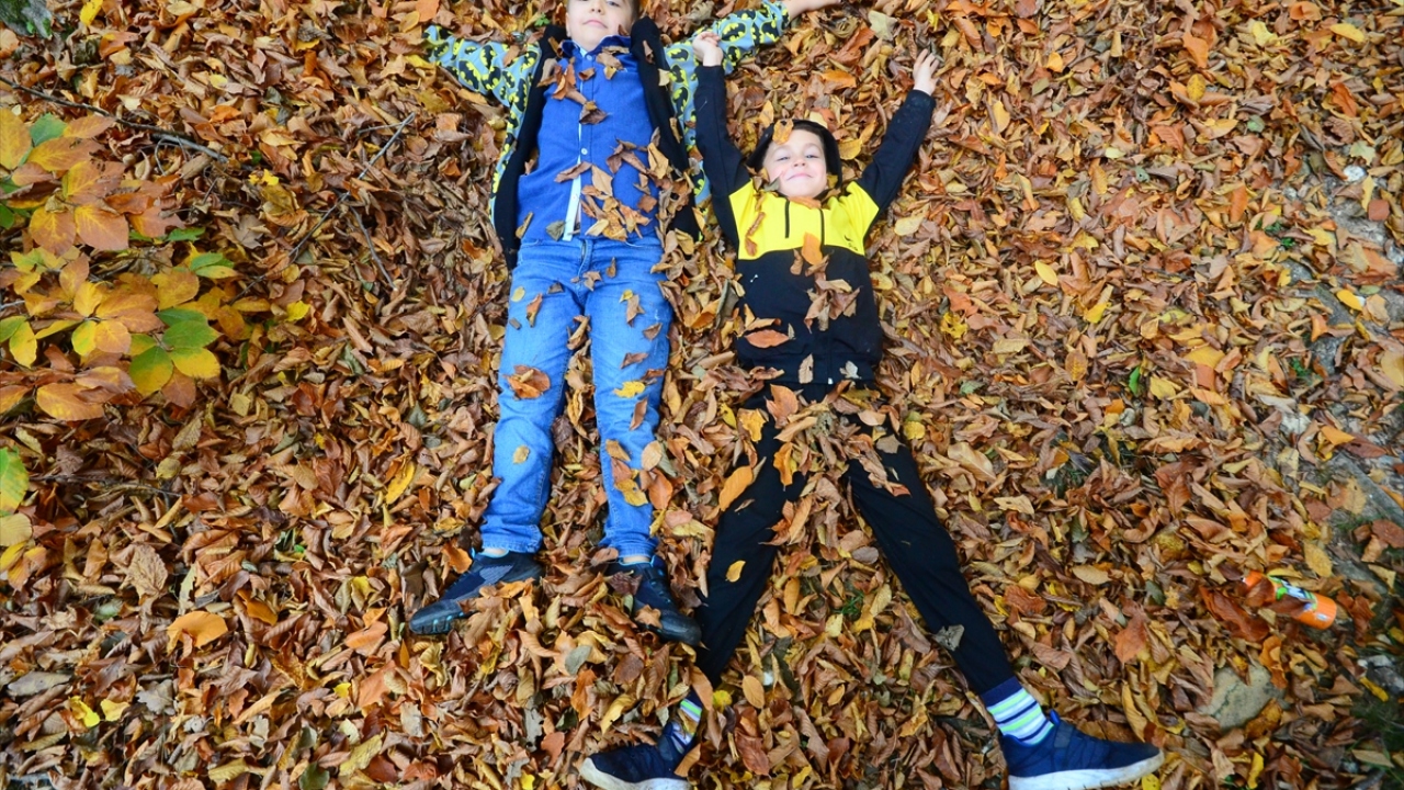 Derelere ağaçlardan dökülen sarı yapraklar, yeşilin tonlarını her mevsim koruyan bitkiler ile ormandan geçen patikalar, seyrine doyulmayan manzaralar oluşturuyor. 