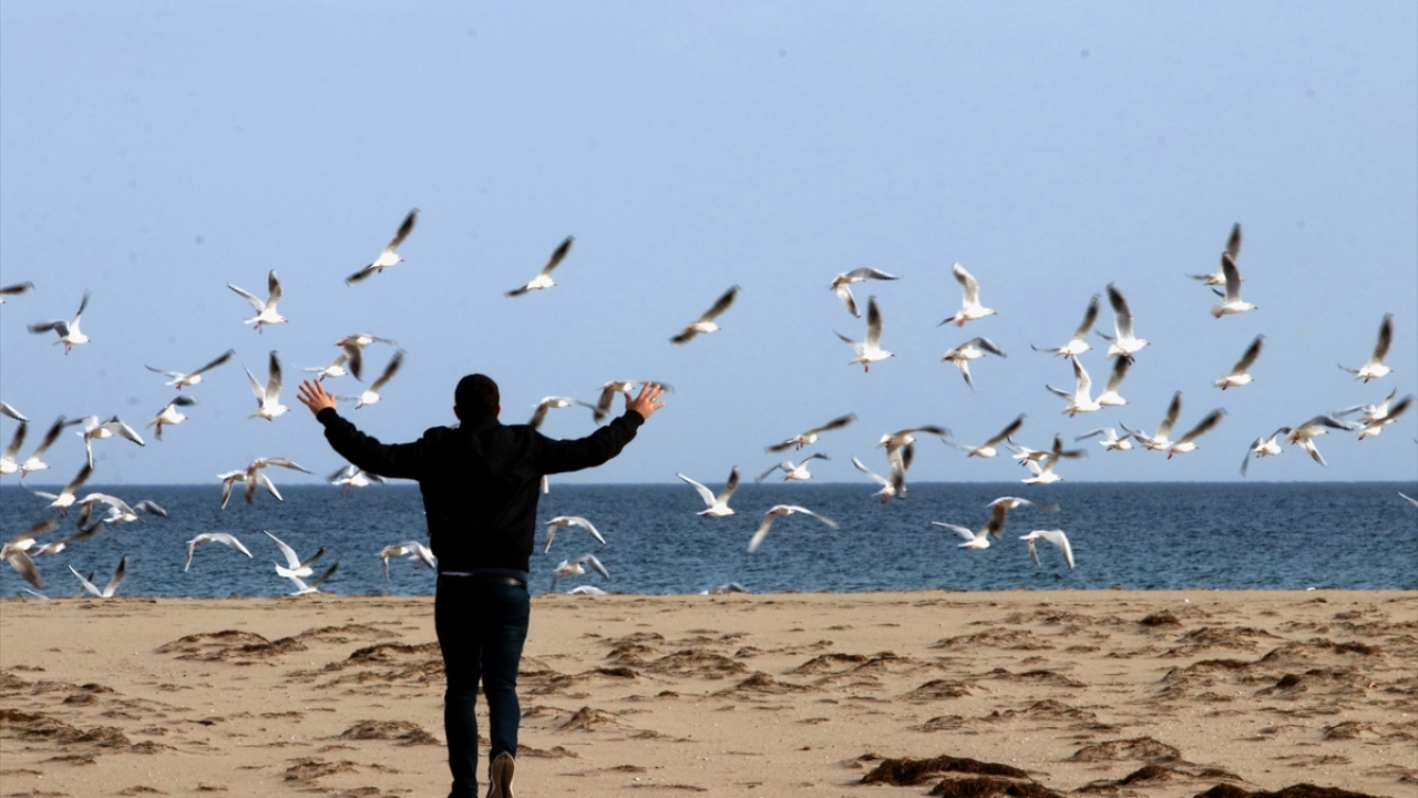 Ormanda, Mert Gölü içerisinde kano ile gezinerek longozun zengin florasına tanıklık etmek mümkün.