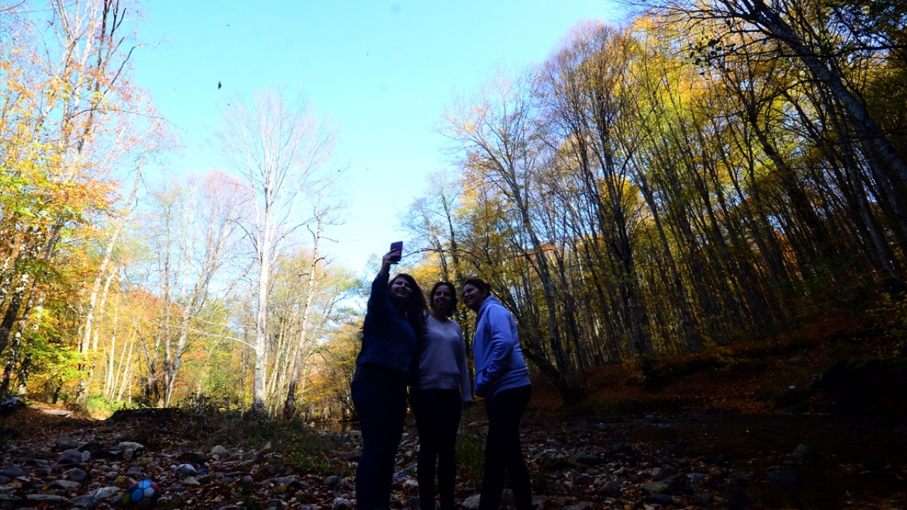 İçerisinde 5 göl, 544 çeşit bitki, 46 tür canlı, 25 cins sürüngen, 50 tür memeli, 30 çeşit tatlı su balığı, 20 tür deniz balığı ve 219 çeşit kuş barındıran Longoz Ormanları, güzelliğiyle ilgi çekiyor.