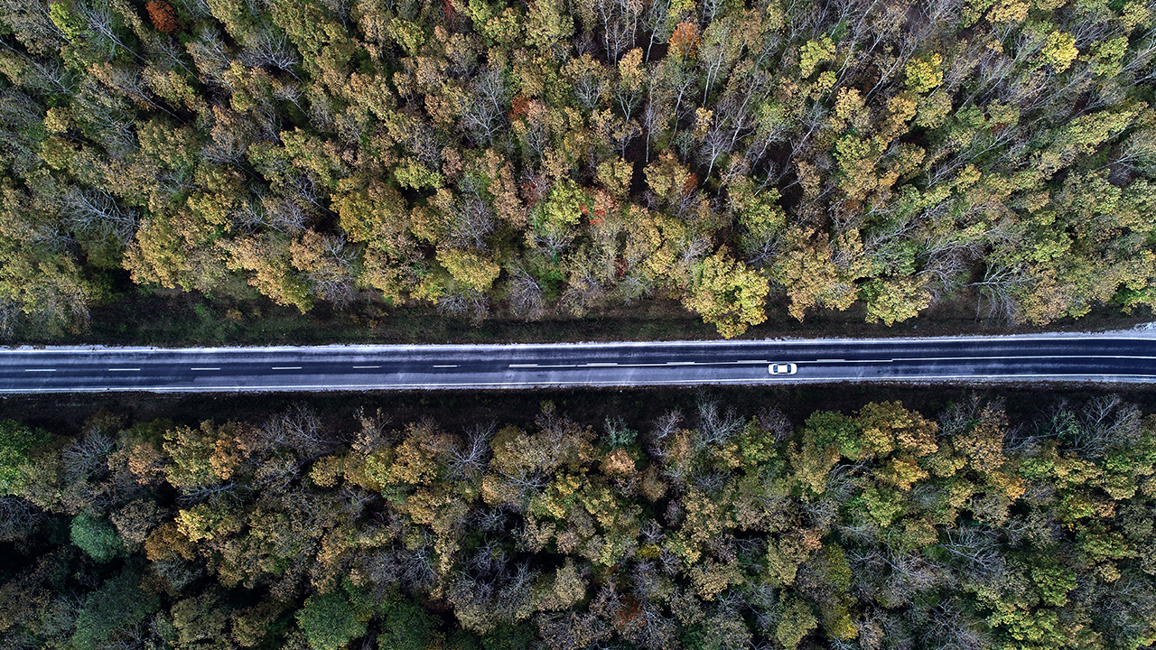 Her mevsim ayrı bir güzelliğe bürünen, Türkiye ve Avrupa`nın en büyük Longoz ve Istranca ormanları, özellikle sonbaharda güzel görüntüler oluşturuyor.
