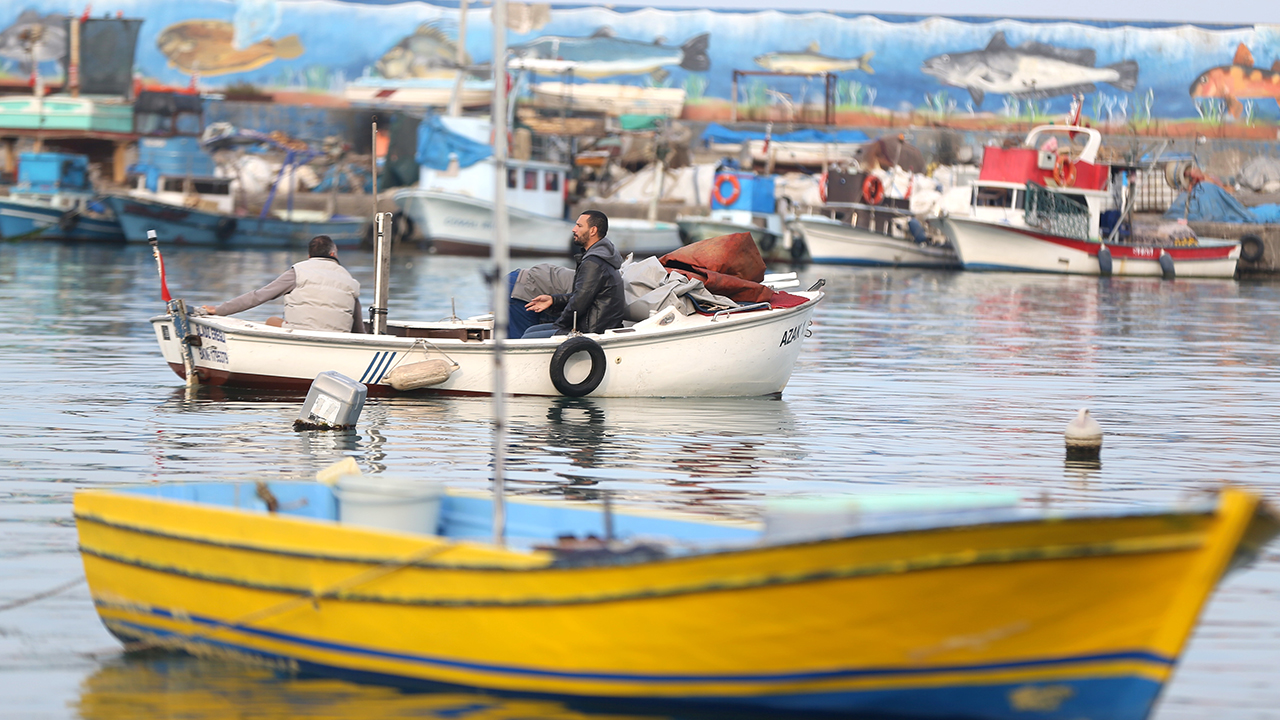 Batı Karadeniz`in önemli limanlarından Akçakoca`dan denize açılan balıkçılar, hava sıcaklığının mevsim normallerinin üzerinde seyretmesi nedeniyle karaya ağları dolu dönemiyor. 