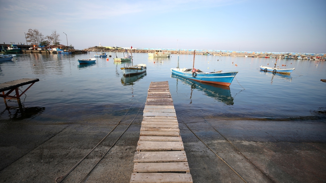 Akçakoca Su Ürünleri Kooperatifi Başkanı Mustafa Karakaş, Batı Karadeniz`de bu yıl hamsi dışında az miktarda mezgit ve barbun avlandığını, bundan sonraki süreçte de bu avcılığın az da olsa devam edeceğini söyledi.