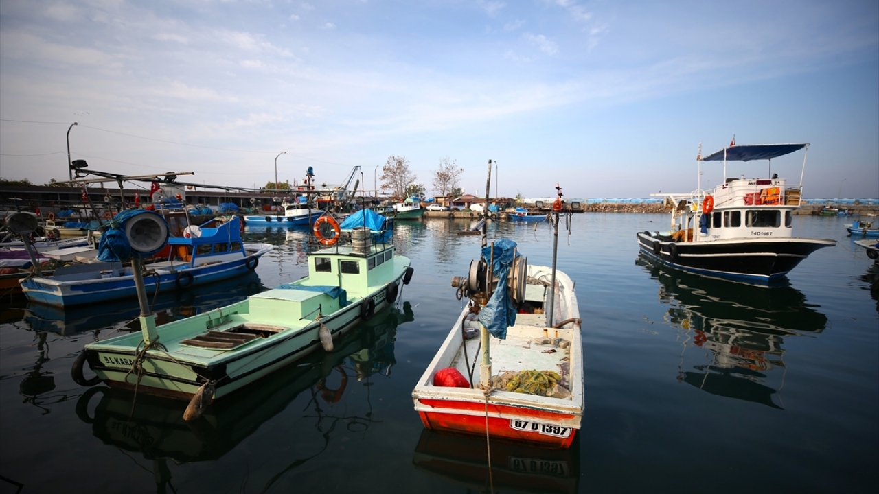 "Sıcakların artması nedeniyle balıklar üreme yapamadı." 