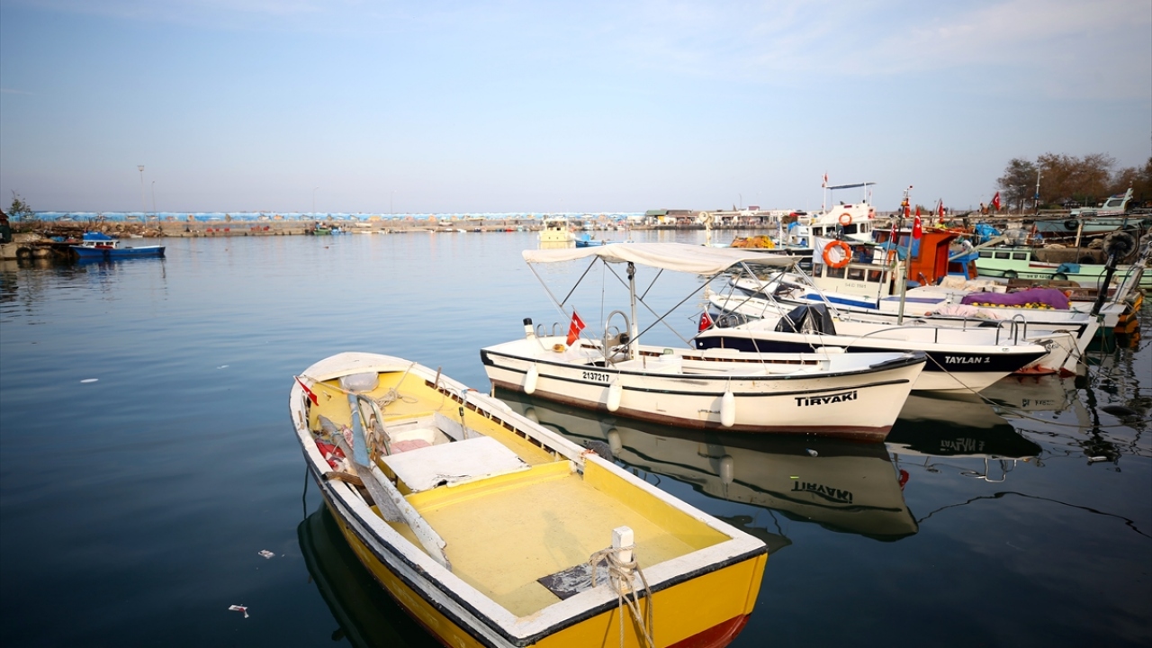"Karadeniz`de acımasızca bir hamsi avcılığı var"