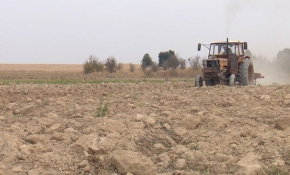Terör örgütünün zarar verdiği tarlalar yeniden filizlenecek