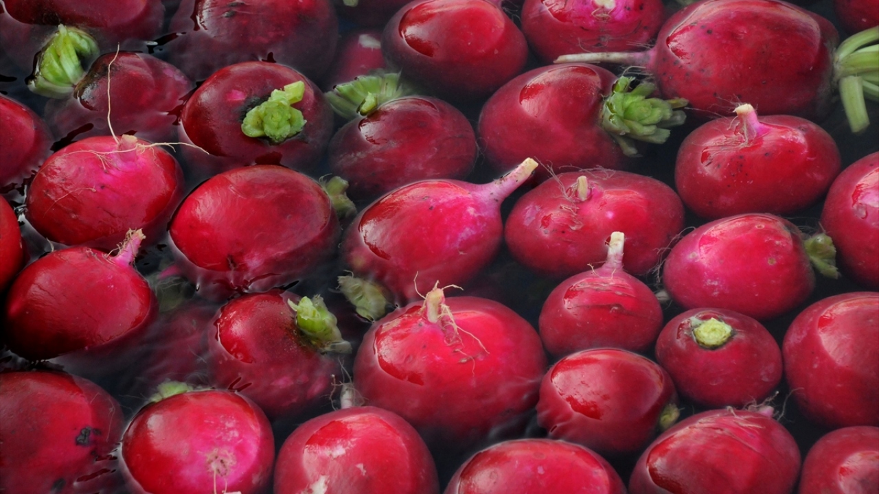 Turp üreticisi Ahmet Kurt da şu an ürünün kilogramını 50 kuruştan sattıklarını kaydetti.