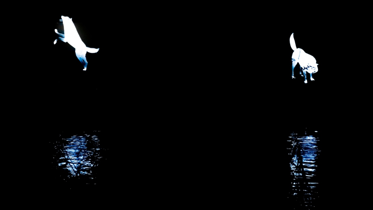 Her sene yaklaşık 1 milyon kişinin katıldığı Avrupa`nın en önemli festivallerinden biri olarak görünen organizasyon 19 Ocak 2020`ye kadar devam edecek.