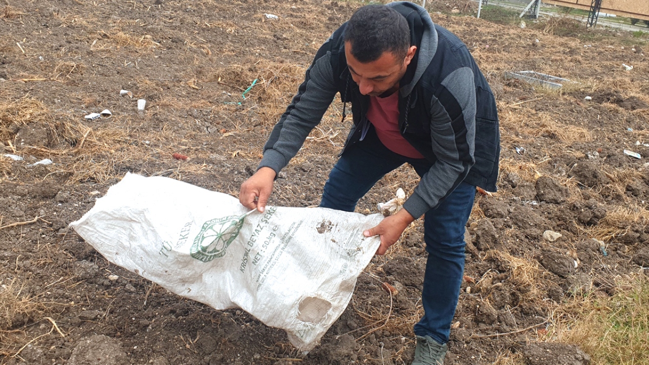 Memduh Çolakça, oğlunun dikkati sayesinde köpeğe yardım ettiğini belirterek "Çuvalın ipini gevşeterek hayvanı çıkarttım. İnsanlık görevimizi yaptık. Hayvanlara bunların yapılmaması gerek. Yazıktır, günahtır." diye konuştu. 