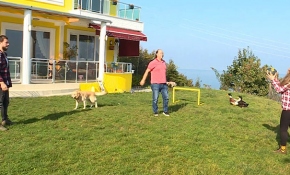 Ordu'nun hentbolcu ailesi