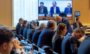 Esed rejimi Anayasa Komitesi sürecini baltalıyor