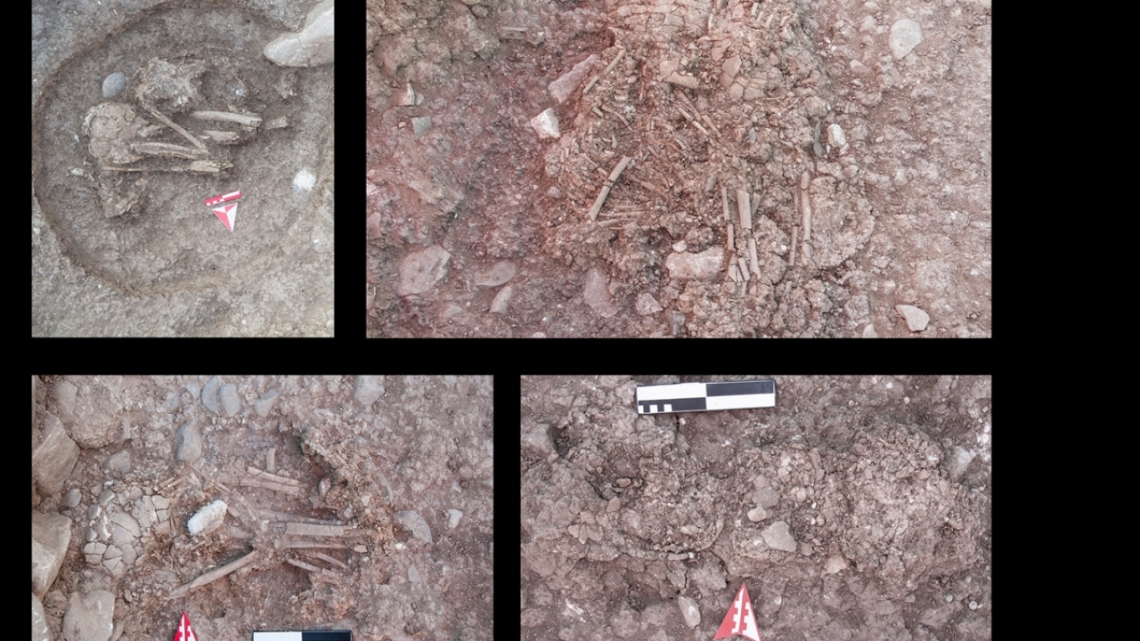 Kazılarda ayrıca kemer, toka, düğme, küpe ve değişik süs eşyaları bulundu.