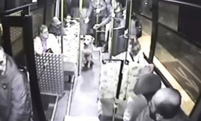 Halk otobüsüne binen sokak köpeği yolcuların maskotu oldu