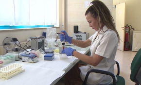 İnönü Üniversitesinde bu yıl 202 kök hücre nakli yapıldı