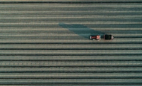 TARSİM ile çiftçinin mahsulü güvence altına alınıyor