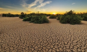 Türkiye'de son 9 yılın en sıcak kasım ayı yaşandı