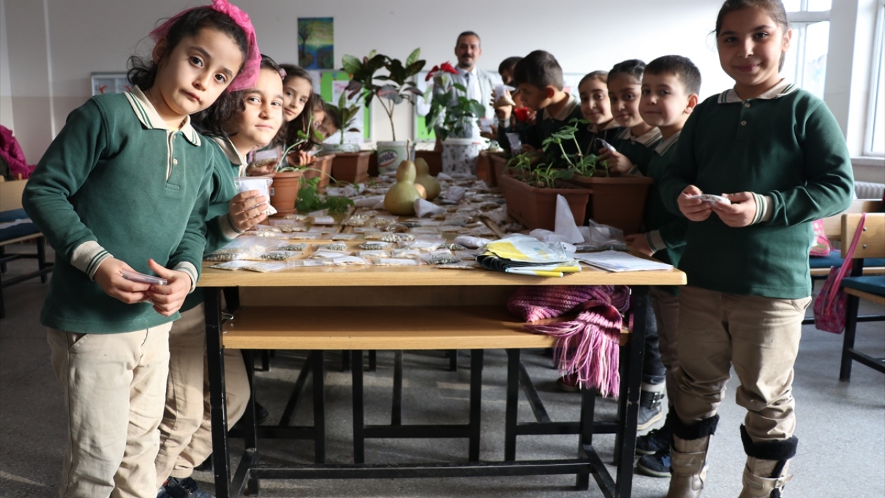 Bulut ile öğrencileri, tahsis edilen bahçeye kabak, bamya, fasulye, tere, nane, roka ve kavun gibi 15 çeşit tohum ekti.