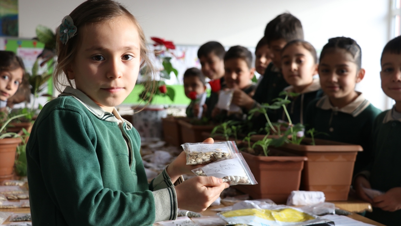 Hasadı öğrenciler tarafından gerçekleştirilen ürünlerin tohumları, 30 ildeki okullara gönderilmek üzere yine öğrenciler tarafından paketlendi.