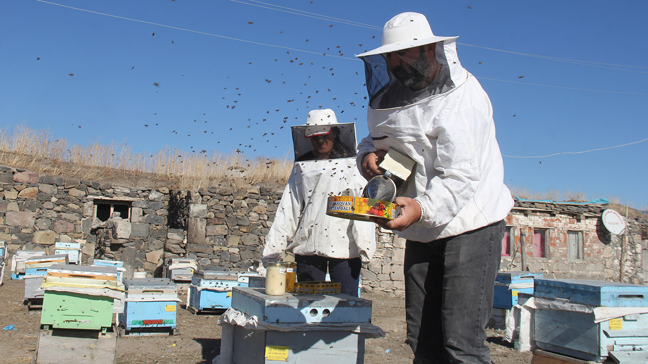 İlkbaharda yaylalara çıkarılan yaklaşık 60-70 bin kovan arıdan 400-500 ton balın elde edildiği kentte, havanın soğumasıyla birlikte arı yetiştiricileri kovanlarını köylere taşıdı.