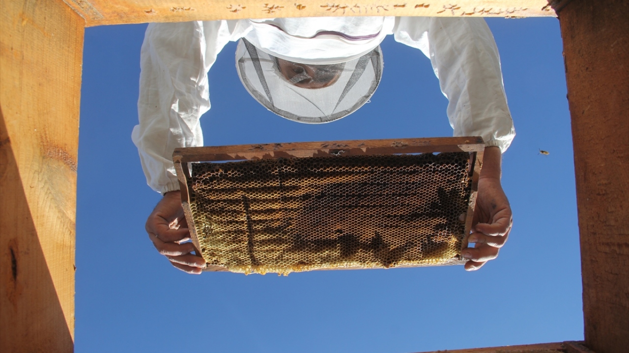 Hava sıcaklığının sıfırın altına düşmesiyle arıcılar, kovanları daralttıktan sonra çuval, bez gibi koruyucu eşyalarla muhafaza ederek, arıları dondurucu soğuktan koruyor.