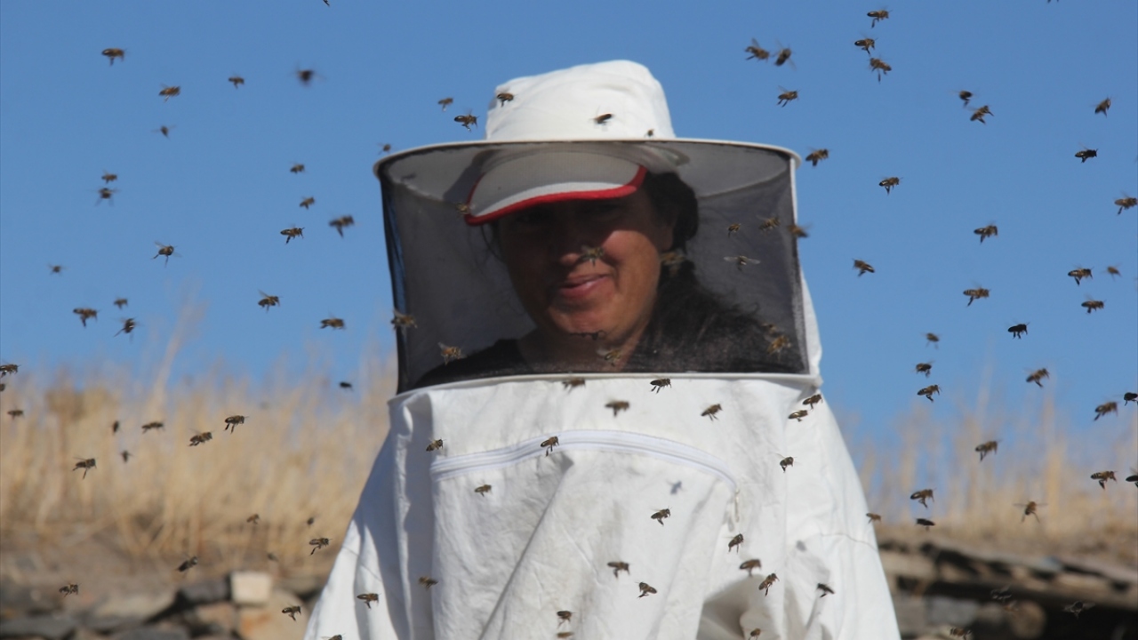 Arıcılar, bu yöntemle arıların hem telef olmasının önüne geçiyor hem de bir sonraki sezona daha sağlıklı girmelerini sağlıyor.