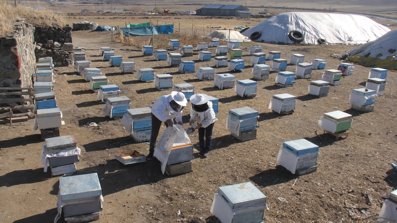 "Kars`ta 130 bin kovan bulunuyor"